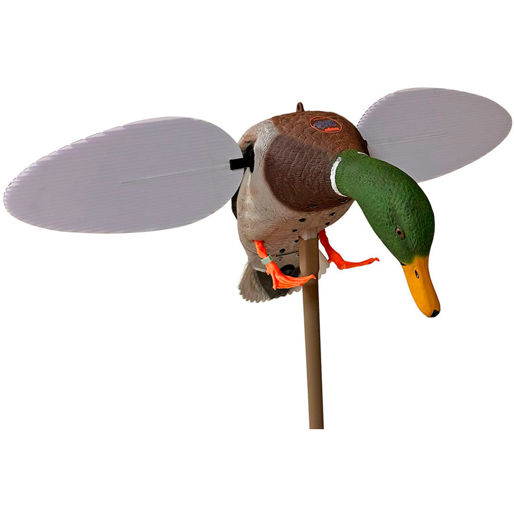 MOJO Silver Mallard ""25th Anniversary""