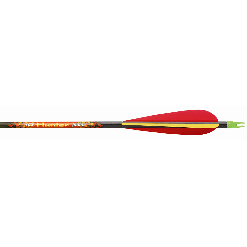 Beman ICS Hunter Junior Arrows 3 in. Vanes 1 doz.
