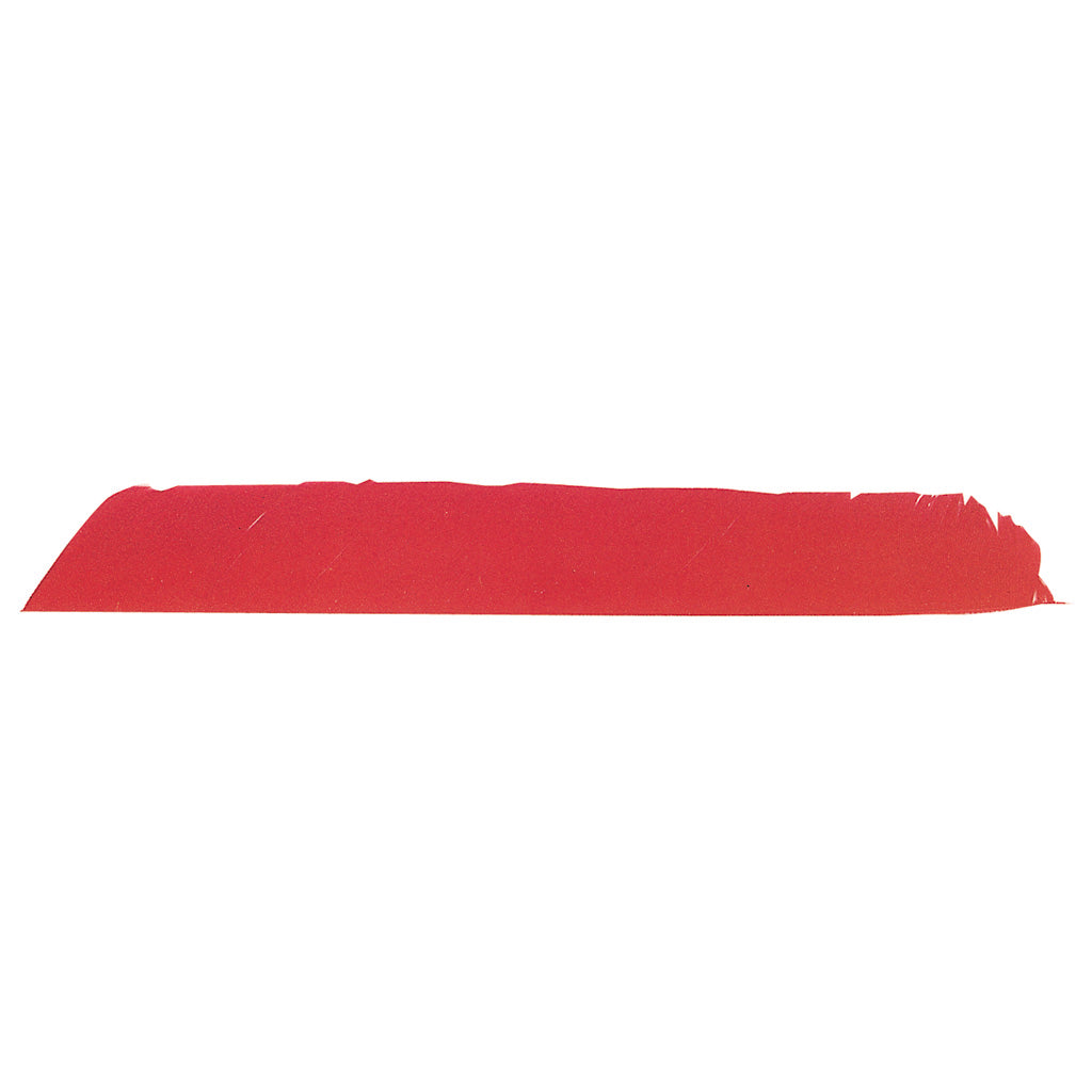 Trueflight Full Length Feathers Yellow LW 100 pk.