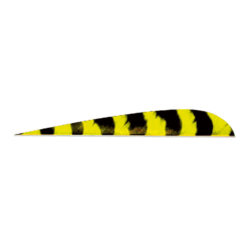 Trueflight Parabolic Feathers Barred Yellow 4 in. LW 100 pk.