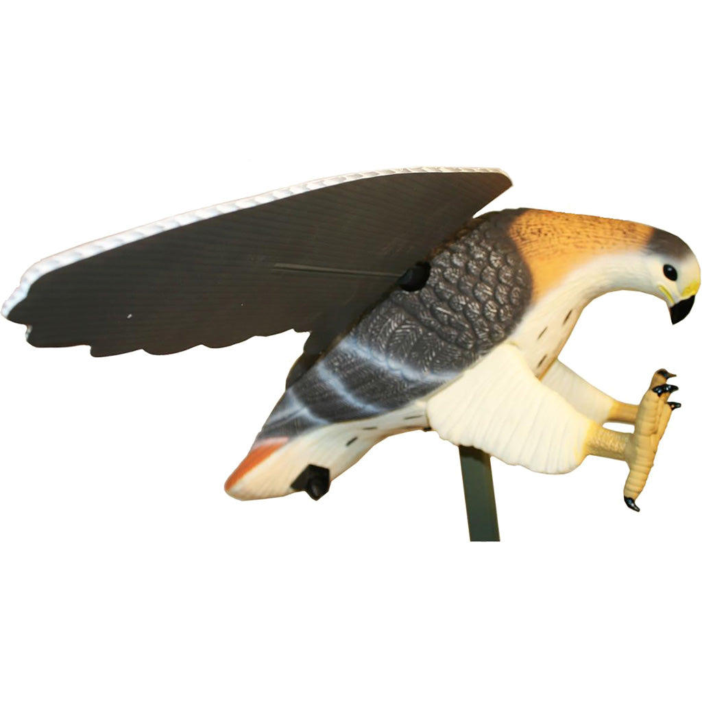 Mojo Hawk Decoy