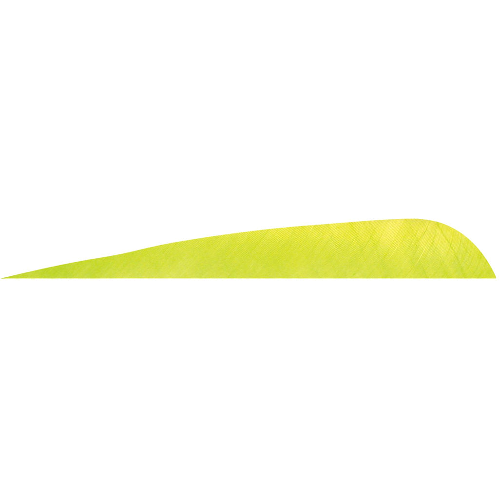 Gateway Parabolic Feathers Lime 5 in. RW 12 pk.