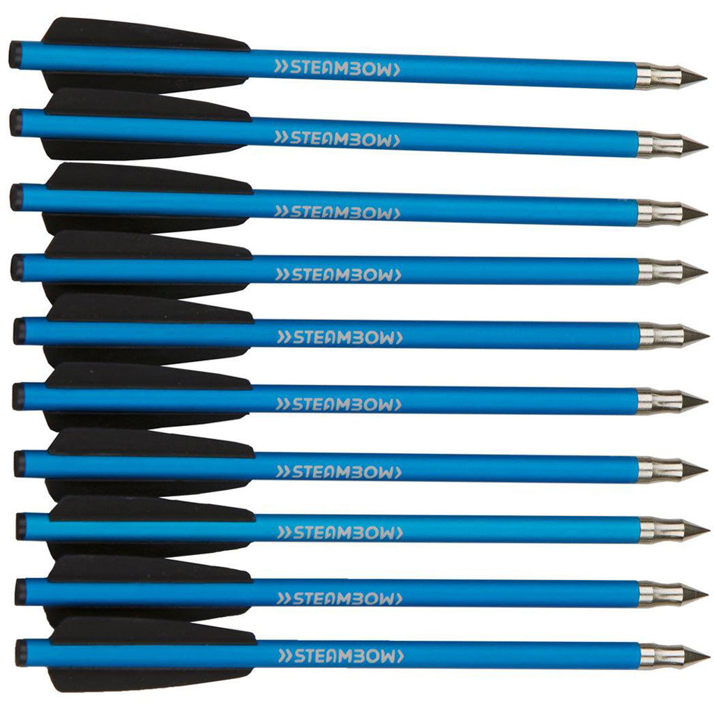 Steambow Aluminum Target Arrows 10 pk.