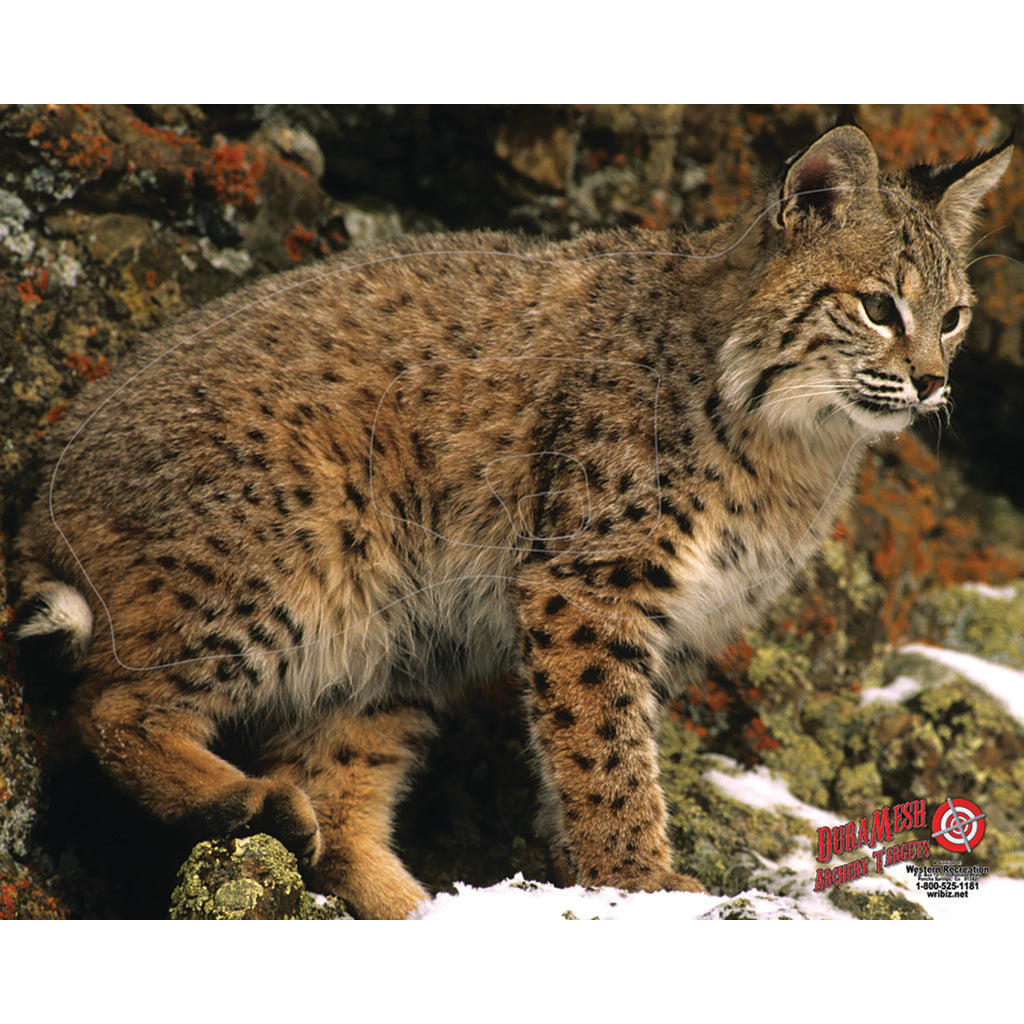 DuraMesh Archery Target Bobcat 25 in. x 32 in.