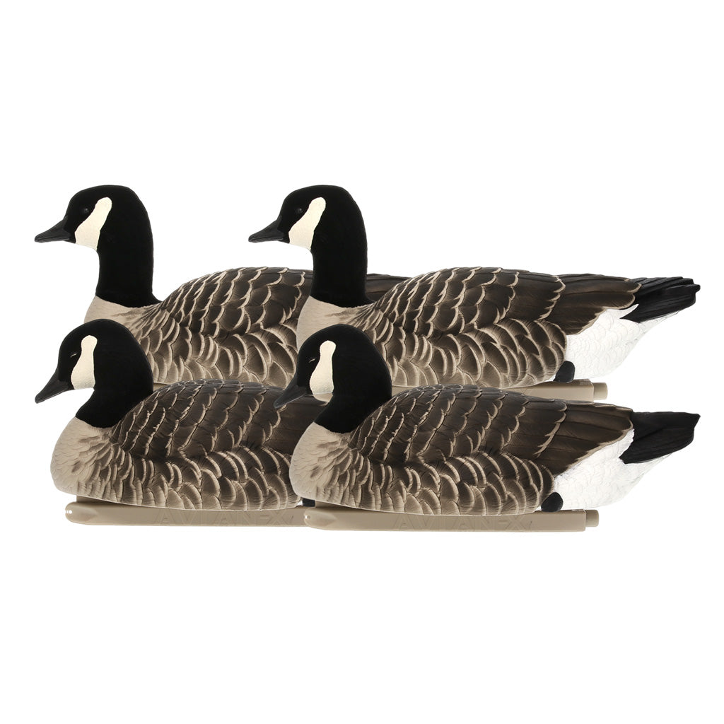 Avianx Top Flight Goose Decoys Lesser Goose 6 Pk.