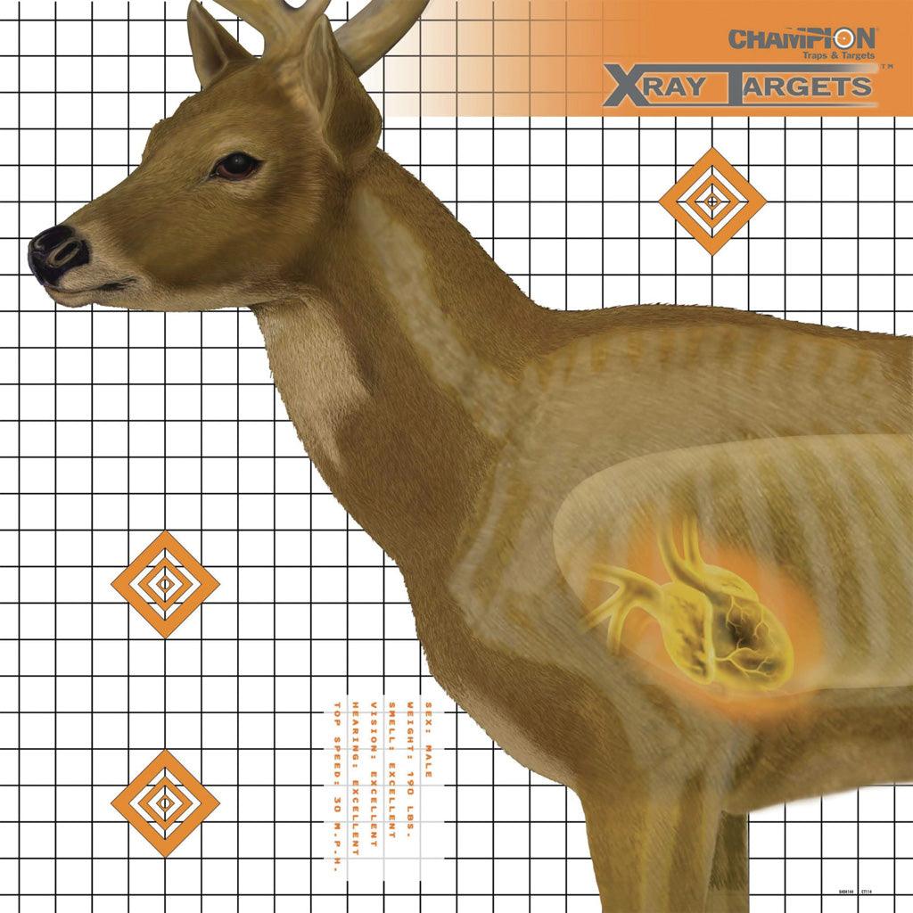 Champion X-ray Deer Target 25x25 In. 6 Pk - Archery Warehouse