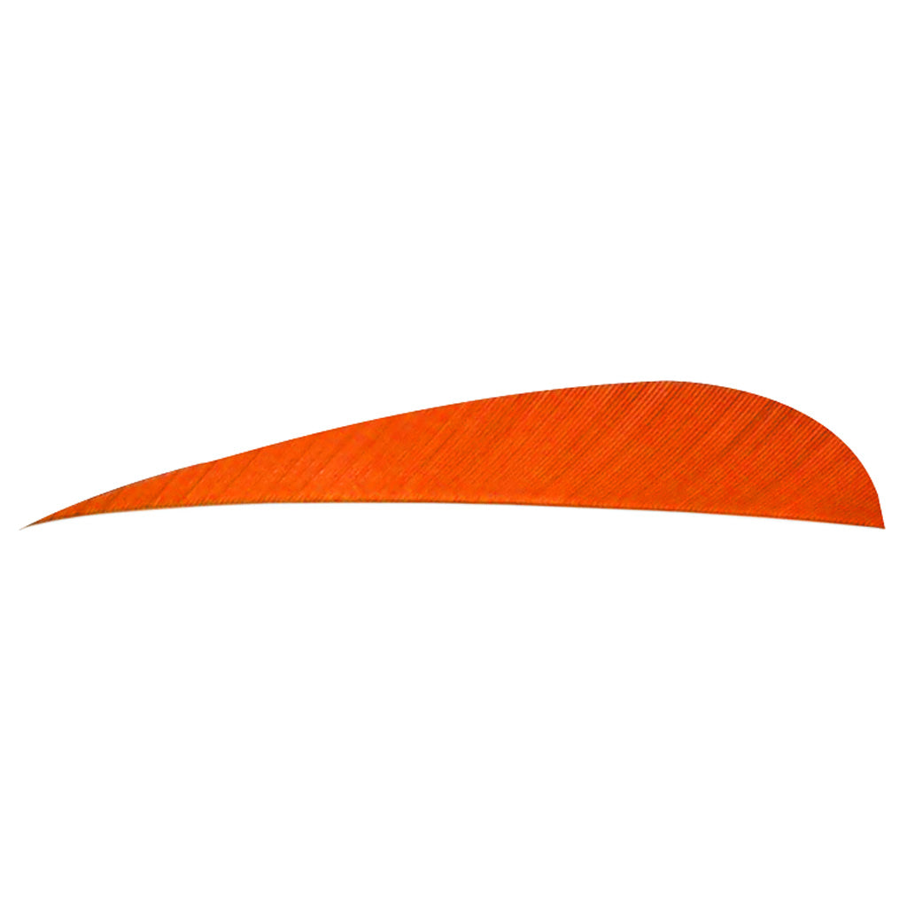 Parabolic Feathers Orange | Trueflight Feathers | Archery Warehouse