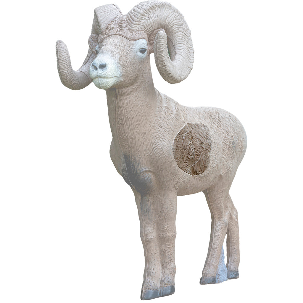 Rinehart � Scale Signature Bighorn Sheep Insert