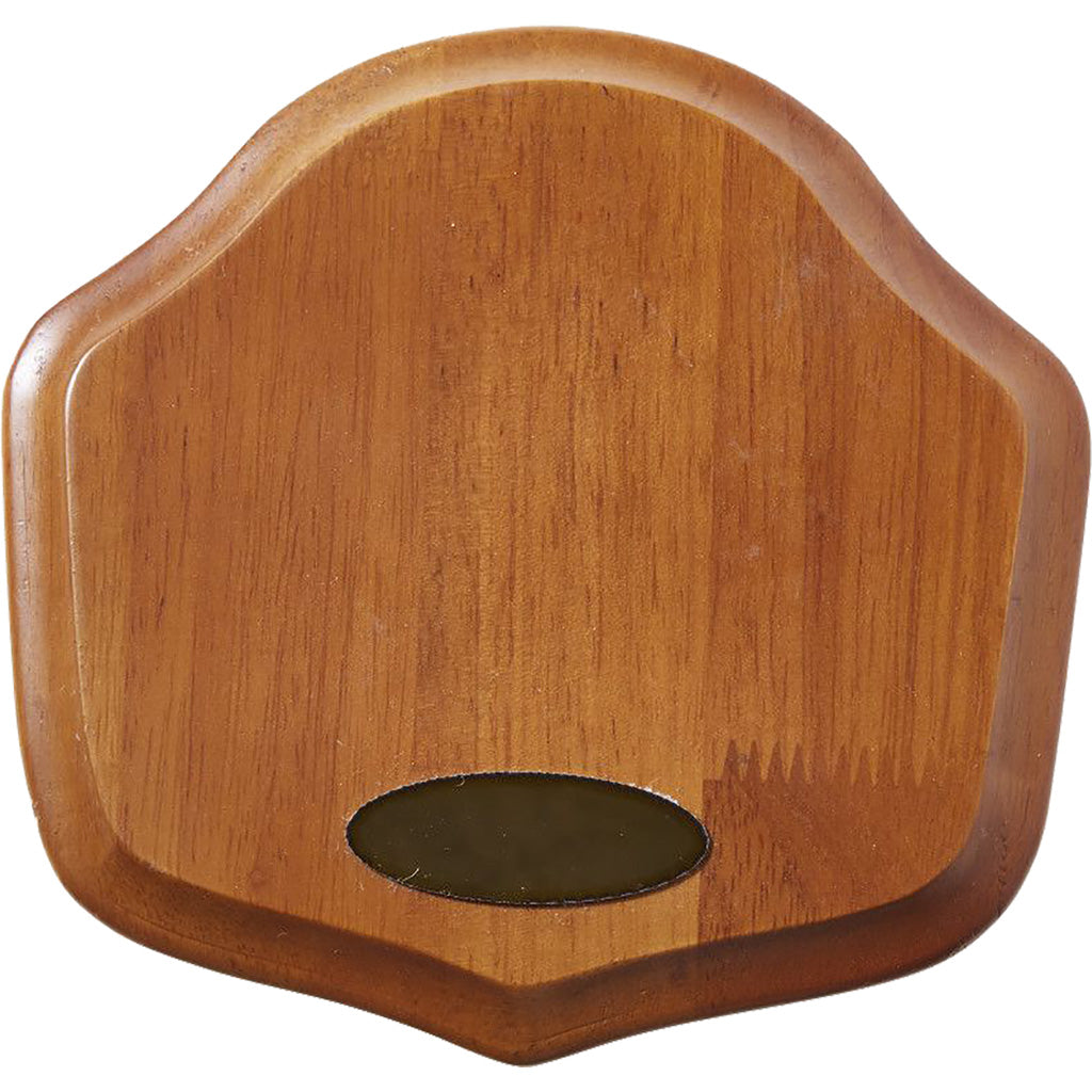 Allen EZ Mount Showcase Horn Mount Kit Brown