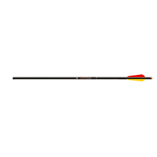 Easton Bloodline Crossbow Bolts 20 in. Flat Nocks BTV Vanes 6 pk.