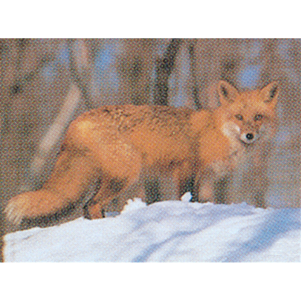 Delta McKenzie Tru-Life Target Fox