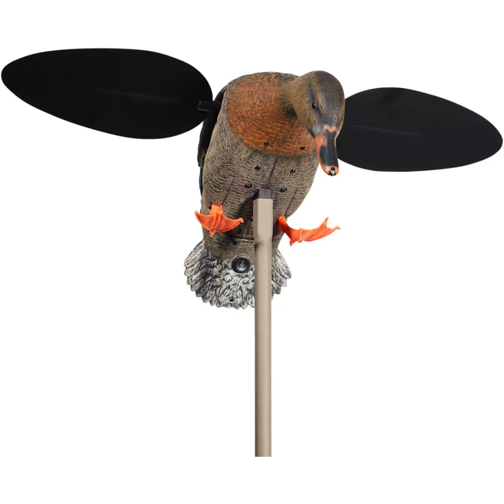 Mojo Baby Hen 2.0 Decoy