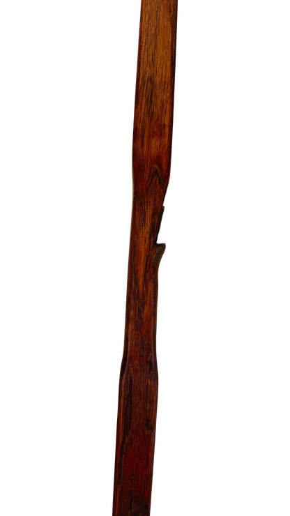 Bushman Flatbow - 65"