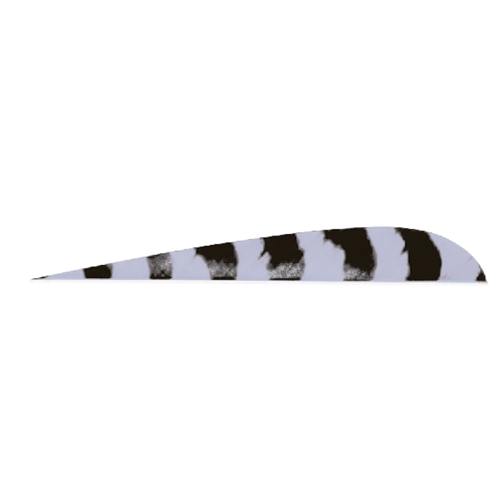 Trueflight Parabolic Feathers Barred Grey 5 in. RW 100 pk.