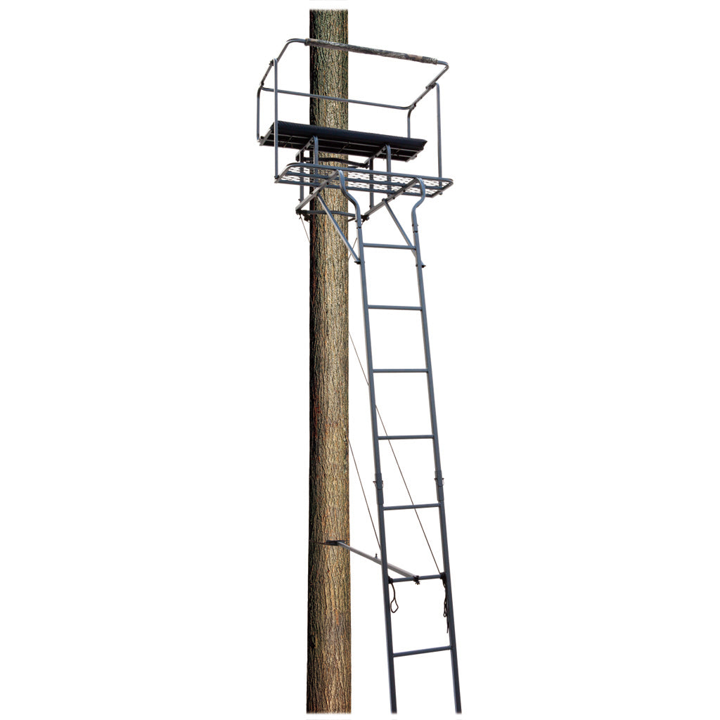 Big Dog Big Bud Ladder Stand Two Man 18 ft.