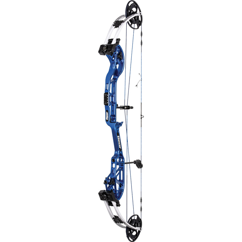 Bear Paramount Bow Blue/White 60 lbs. RH