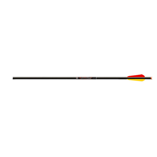 Easton Bloodline Crossbow Bolts 20 in. Moon Nocks BTV Vanes 6 pk.