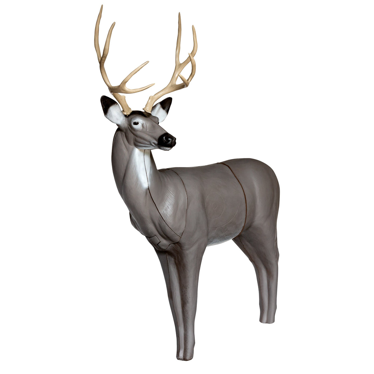 QuivAR Enabled Mule Deer