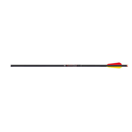 Easton Bloodline Crossbow Bolts 22 in. Moon Nocks BTV Vanes 6 pk.