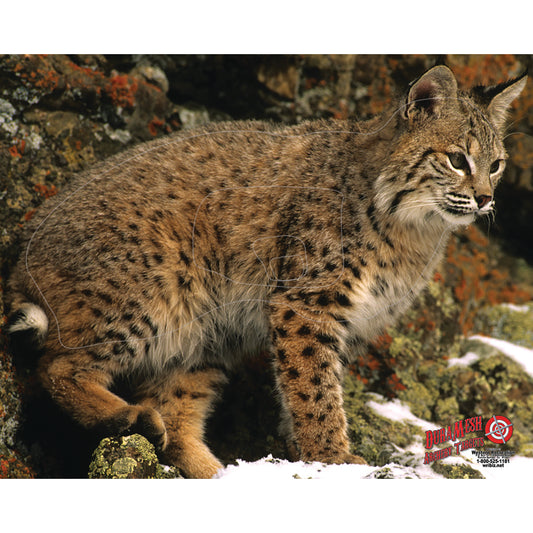 DuraMesh Archery Target Bobcat 25 in. x 32 in.