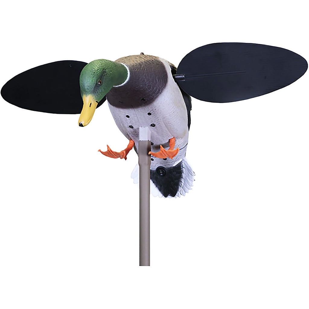 Mojo Baby Drake 2.0 Decoy