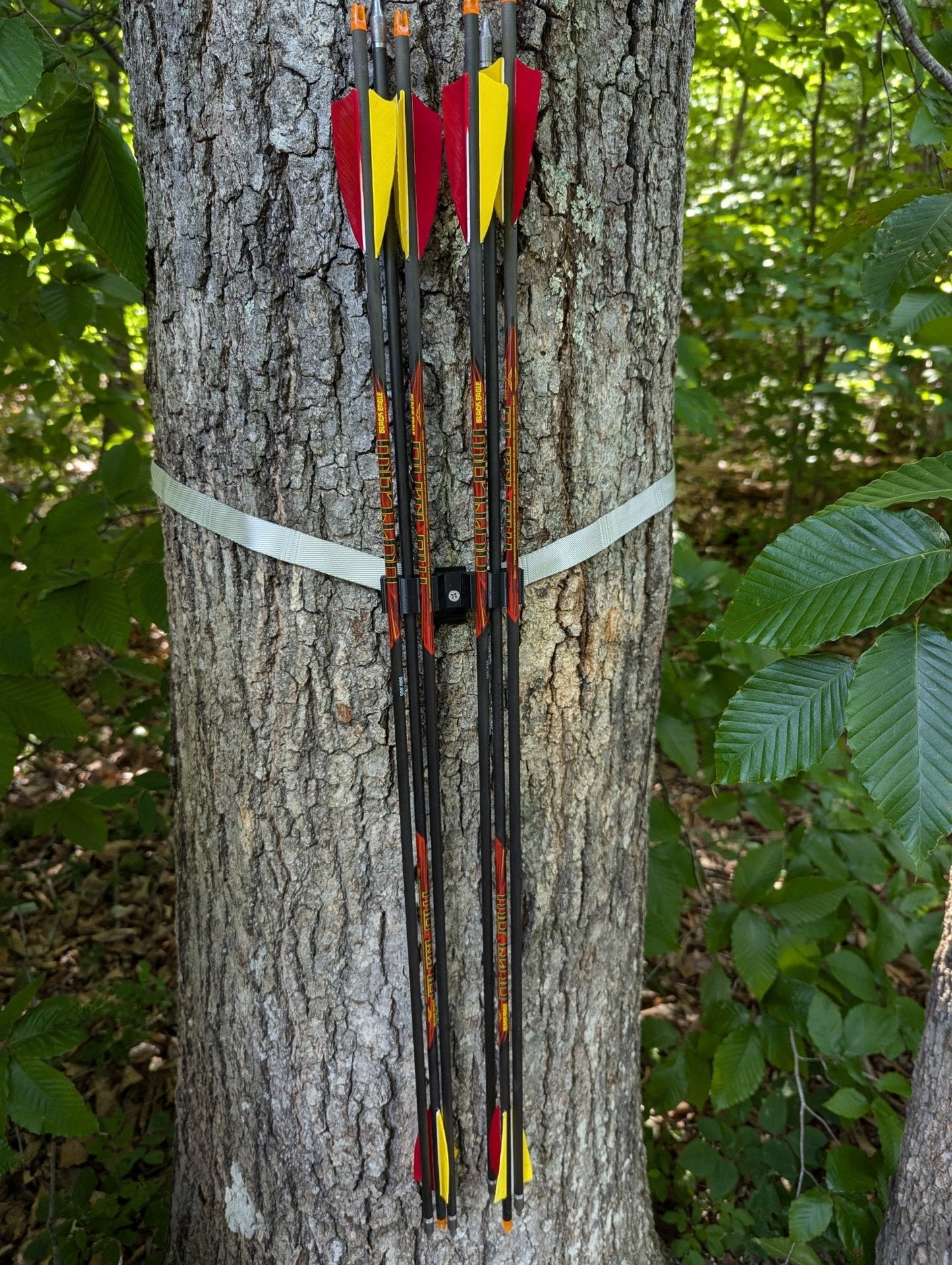 Target Practice Quiver