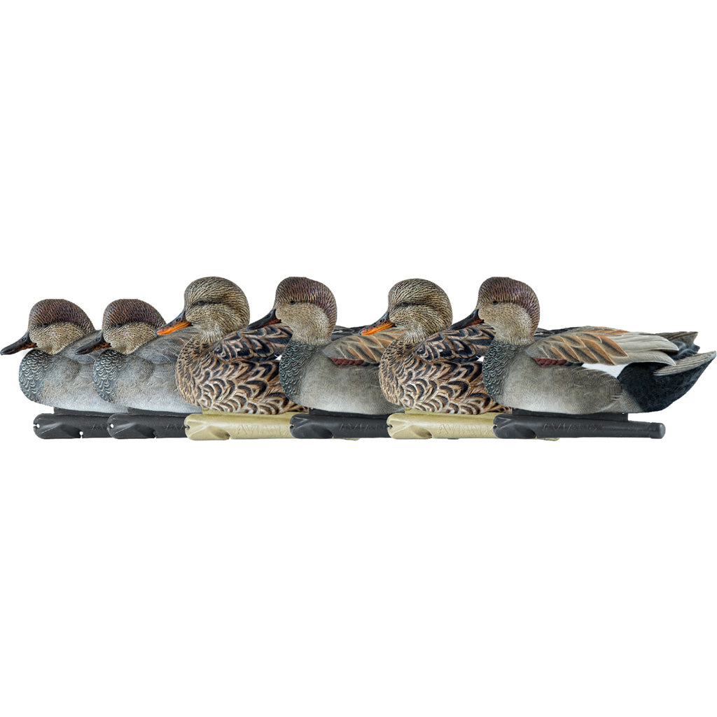 Avianx Top Flight Duck Decoys Gadwall 6 Pk.