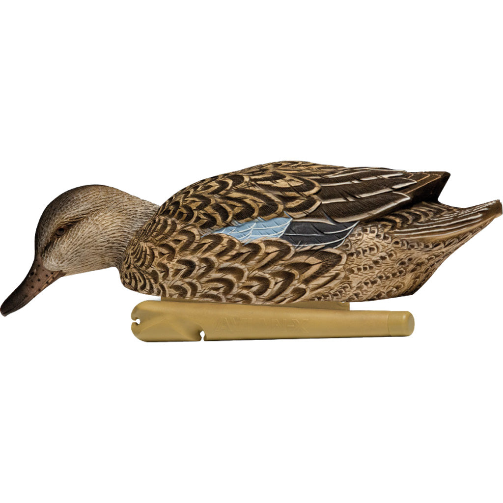 Avianx Top Flight Duck Decoys Blue-winged Teal 6 Pk.