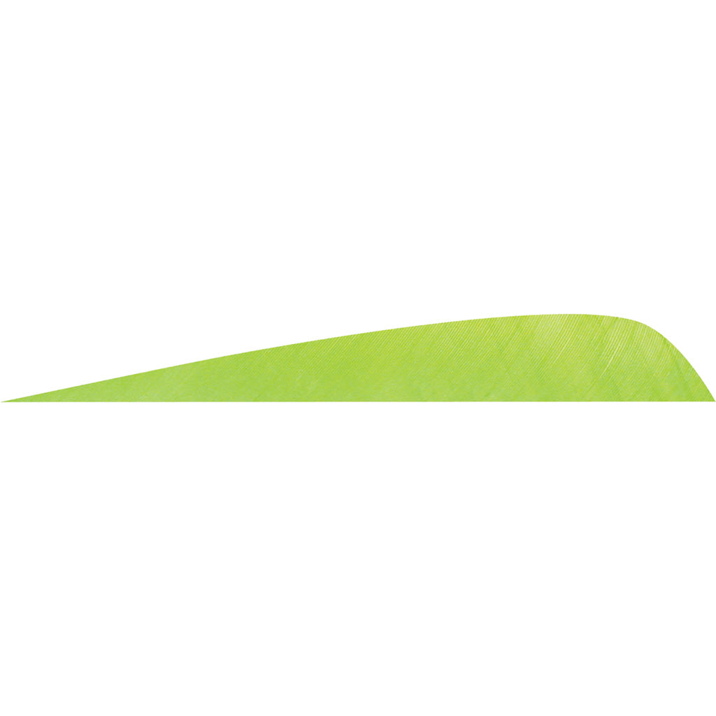Gateway Parabolic Feathers Chartreuse 4 In. Lw 50 Pk.