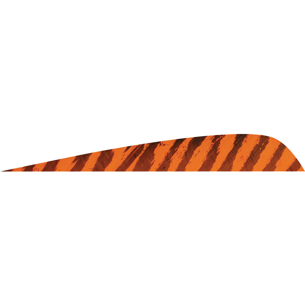 Gateway Parabolic Feathers Barred Orange 4 In. Rw 50 Pk.