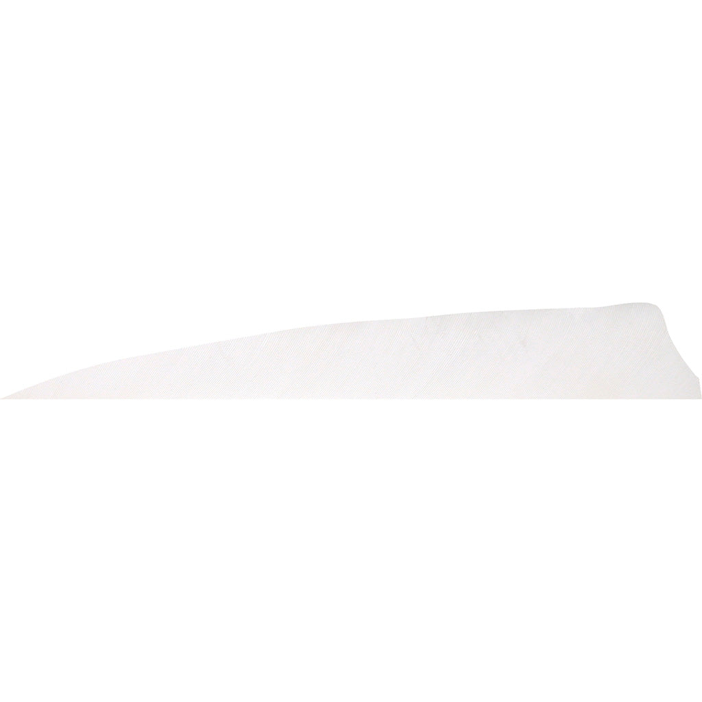 Shield Cut Feather White | Shield Cut Feather | Archery Warehouse