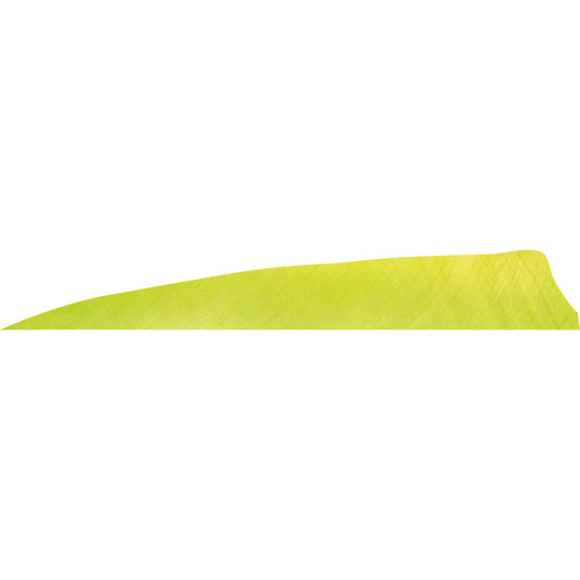 Gateway Shield Cut Feathers Lemon Lime 4 In. Rw 50 Pk.