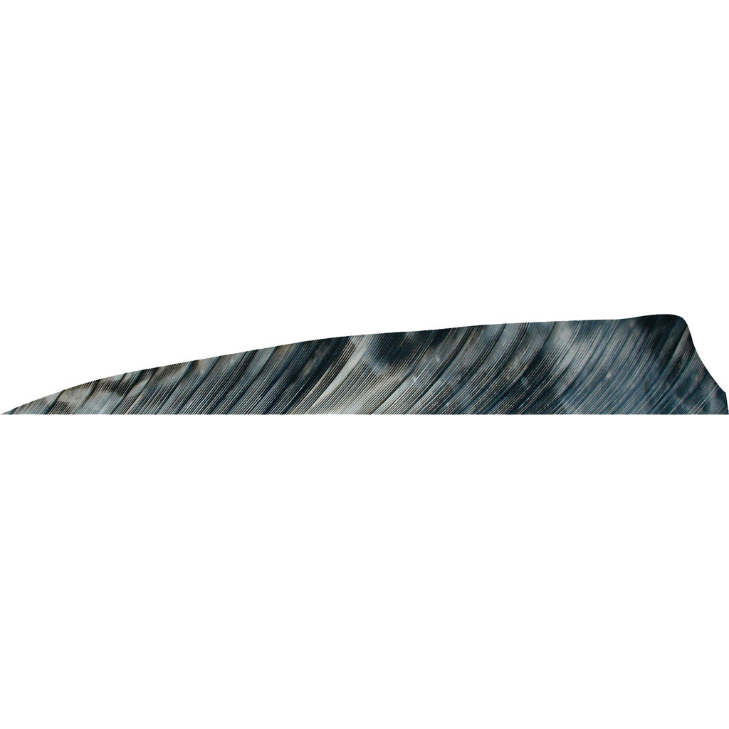 Gateway Shield Cut Feathers Tre Bark 4 In. Rw 50 Pk.