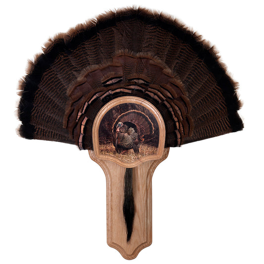 Walnut Hollow Deluxe Turkey Display Kit Oak