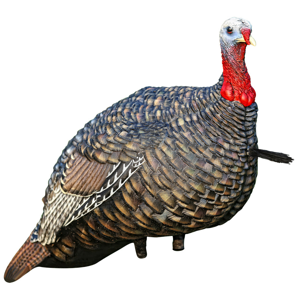 Avian X Quarter Strut Jake Turkey Decoy