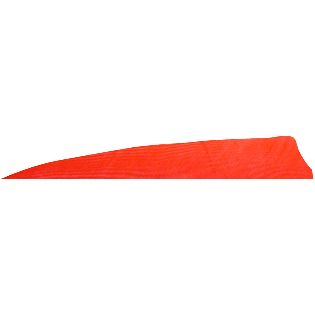 Gateway Shield Cut Feathers Red 4 In. Rw 100 Pk.