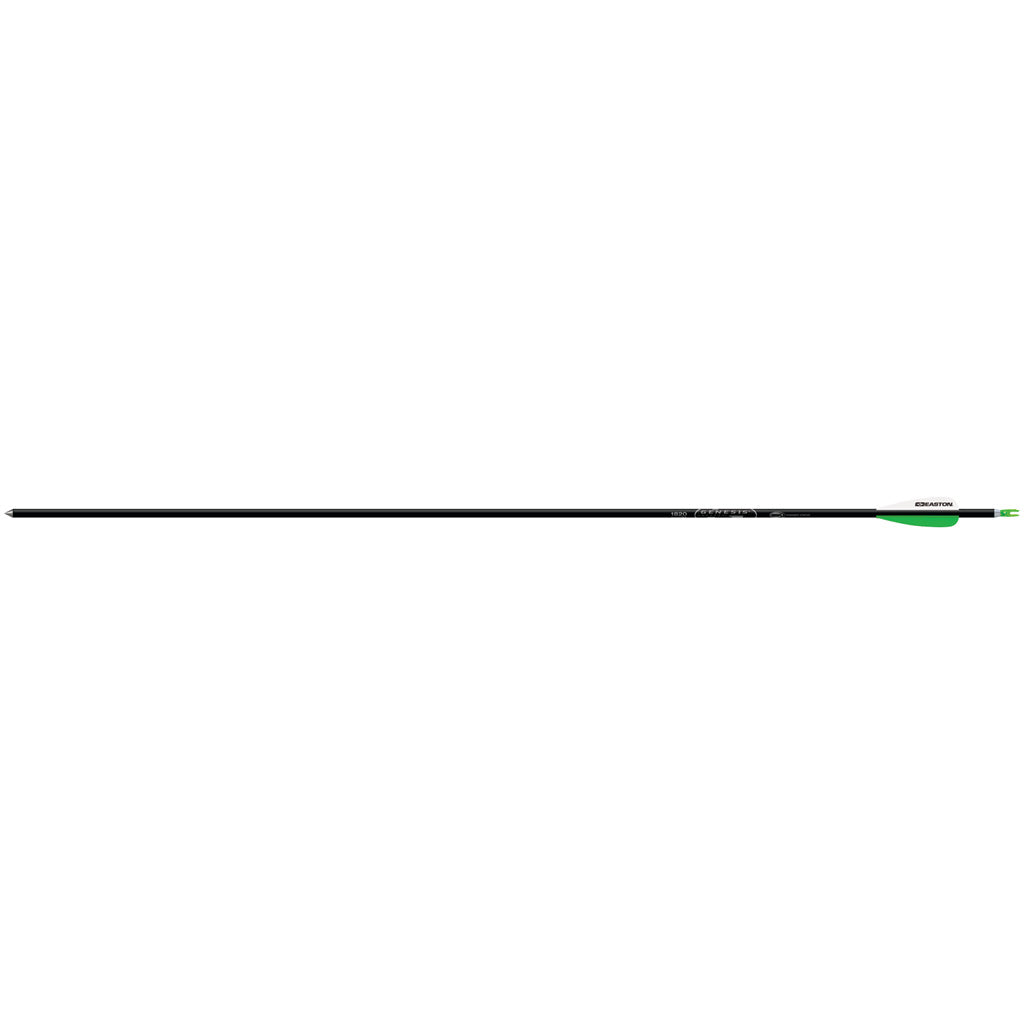 Easton Genesis Arrows Black 1820 6 Pk.