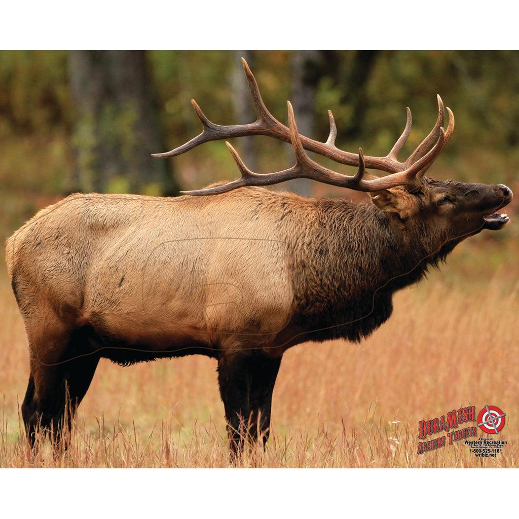 Duramesh Archery Target Elk 1 25 In. X 32 In. - Archery Warehouse