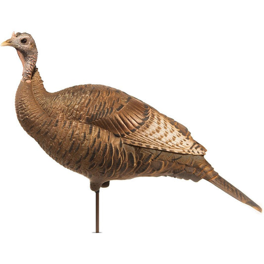 Dave Smith Decoy Upright Hen Decoy - Archery Warehouse